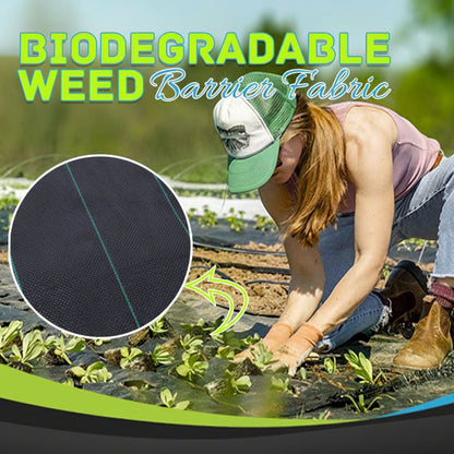 🔥Last day to enjoy a 50% discount—high-end woven weed barrier